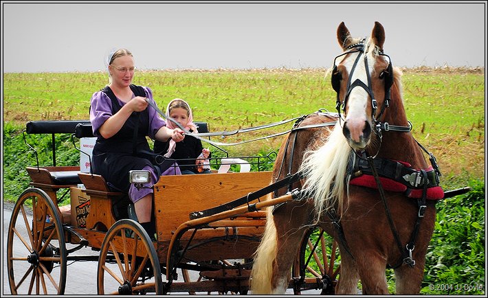 amish country 1 pc.jpg