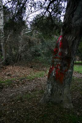 Graffiti