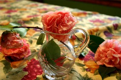 Camelia and a Vase