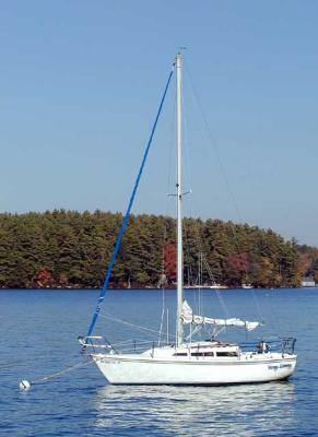 u38/dstevens/medium/24761073.SephLany.jpg