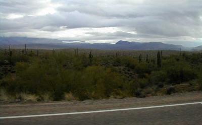 A damp desert morning -- perfect riding weather!