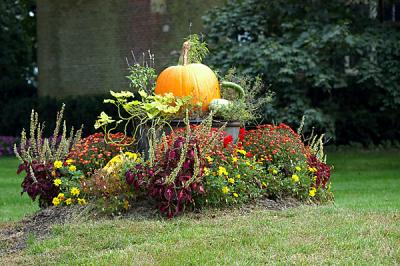 Flowers4.jpg