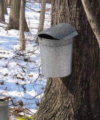 Covered Tap Bucket