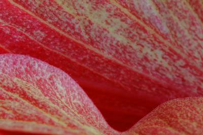 u38/ed_k/medium/31939591.pad_29DSC_4416.jpg