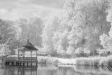 8/3/04 - Another Gazebo, Another IR