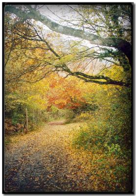 Nov 2003