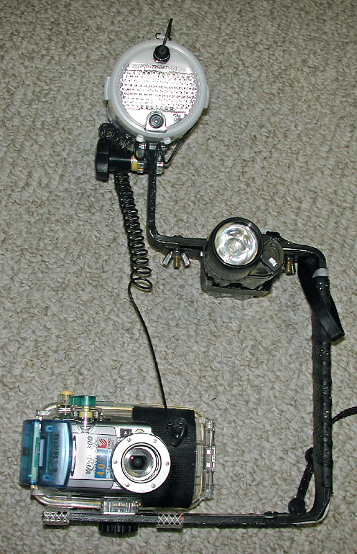 Focus Light