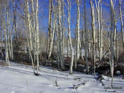 escalante