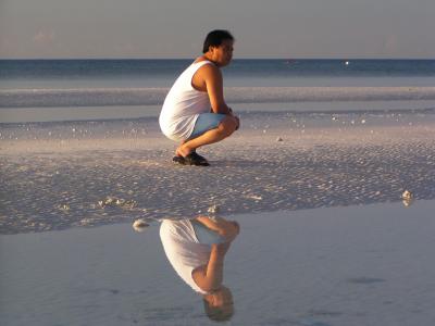 Reflection
