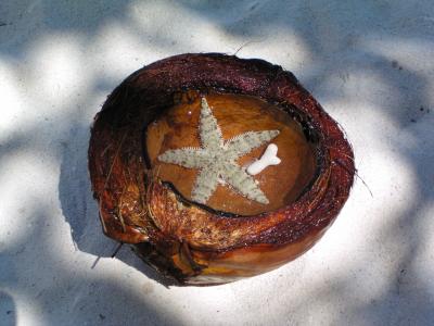 Starfish