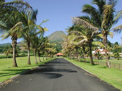 Mt. Pele, Martinique