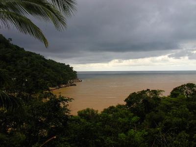 Washed earth continues to empty into ocean