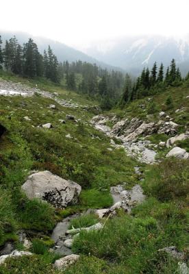 Creek Basin