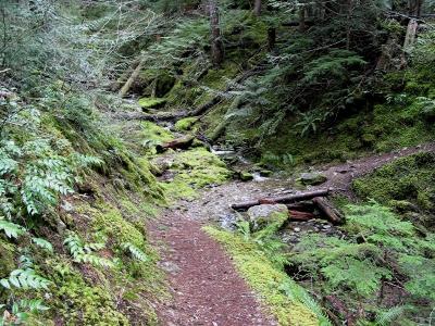 Thunder Creek Trail