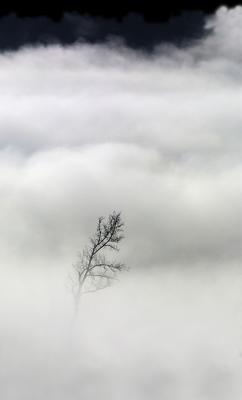 Silence