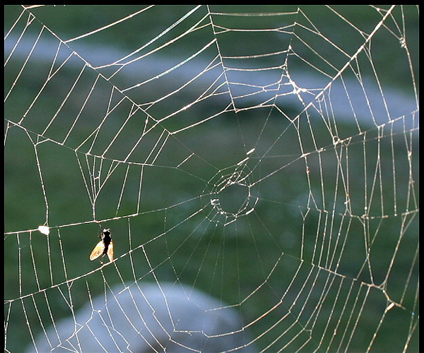 Web trekking