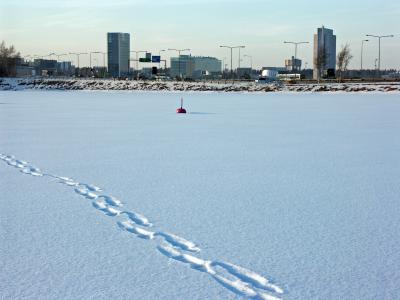 u38/esyvanen/medium/40289209.PICT0377.jpg