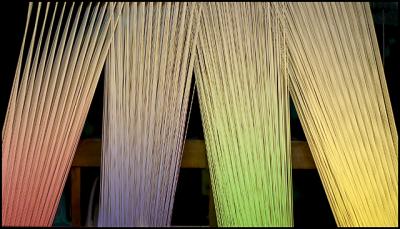 u38/falcn/medium/39387047.loom.jpg