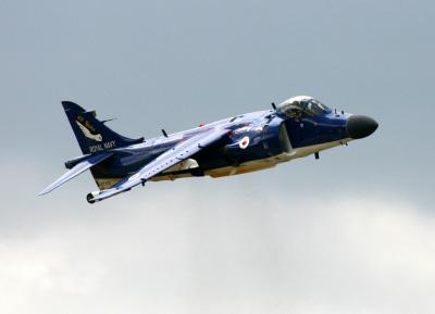 Harrier_2810.jpg