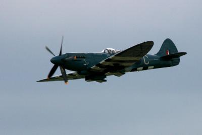 Spitfire_2846.jpg