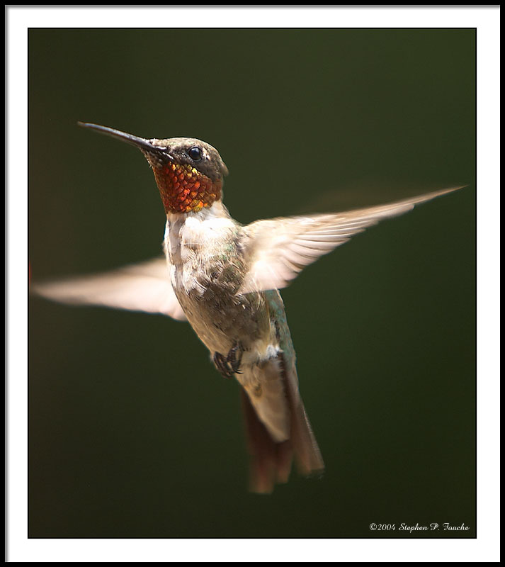 Flicker