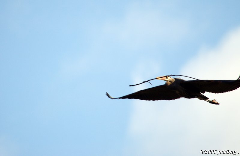 D70-2005-02-26_061.jpg
