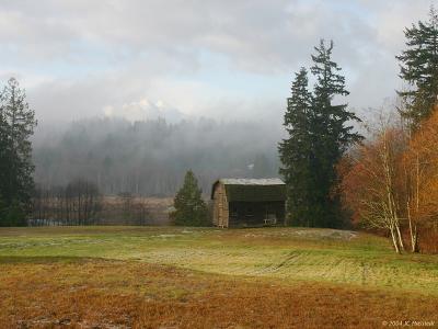 Old Barn New Day