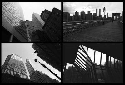 ny_04.jpg