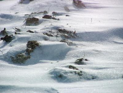 wind-drift2.JPG