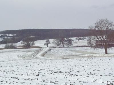 winter valley2.JPG