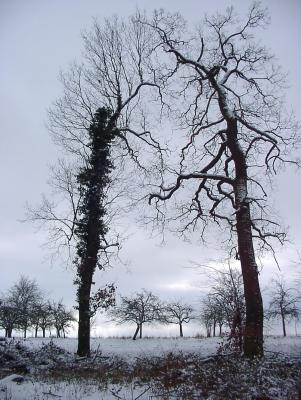 Feb-2005-E100-RS Ents.jpg
