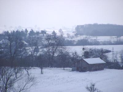 Winter 2204-2005