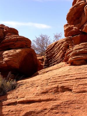 _DSC0603.jpg