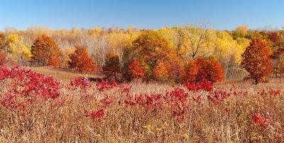 Frontenac State Park