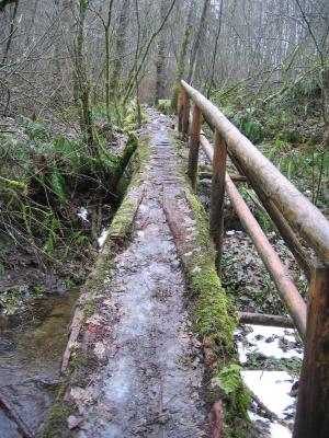 Log BridgeTibbetts Marsh Trail