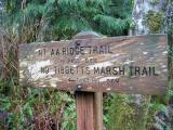 Tibbetts Marsh Trail
