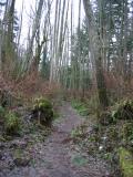 Tibbetts Marsh Trail