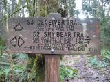 Shy Bear Trail