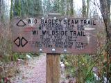 Bagley Seam Trail