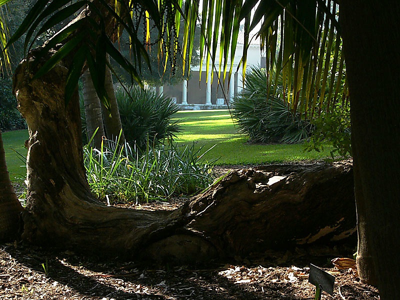 P1110363.JPG