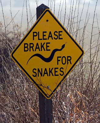 brake-for-snakes.jpg