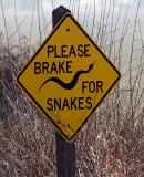 brake-for-snakes.jpg