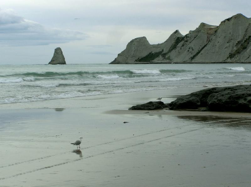 Cape Kidnappers.jpg