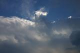 White Bird Fly Over Jumbo Jet