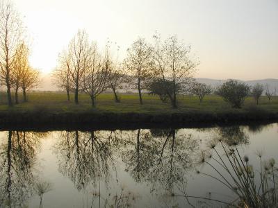 The small lake