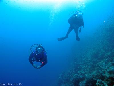 Divers at Gabr el bint