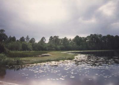 Disney World, 1994