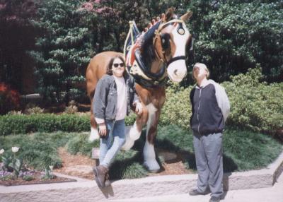 Busch Gardens Williamsburg, 1998