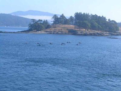 IMG_2125.jpg
