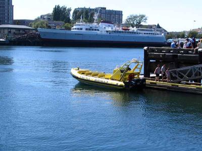 Whale Chase boat